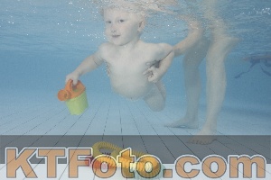 Photo 4231960