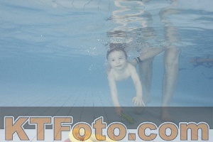Photo 4231961