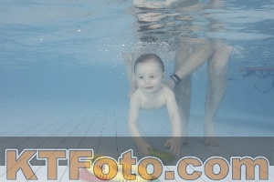 Photo 4231962