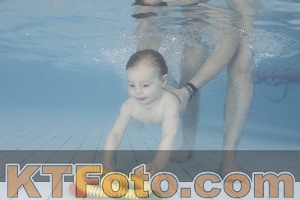 Photo 4231963