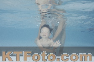 Photo 4231965