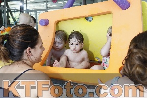 Foto 4231982
