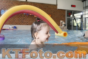 Photo 4232020