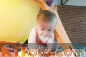 Foto 4232141