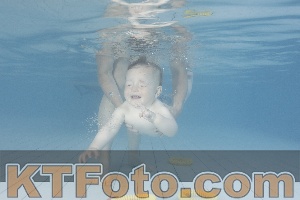 Foto 4232150