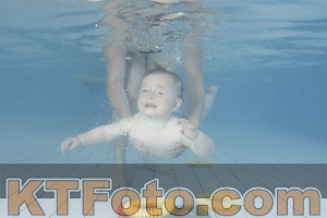 Foto 4232151
