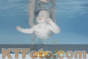 Foto 4232152