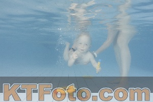 Foto 4232154