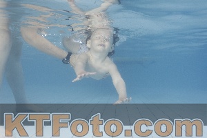 Foto 4232221
