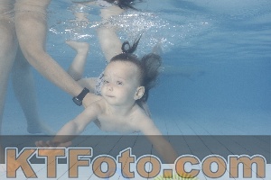Foto 4232222