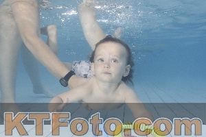 Foto 4232223
