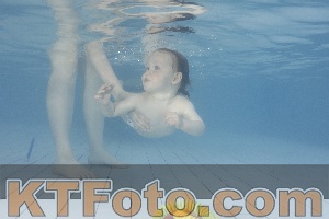 Foto 4232226