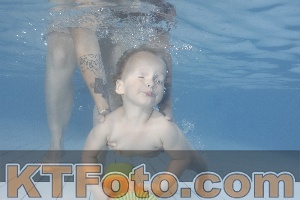 Foto 4232228