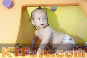 Foto 4232242