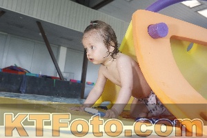 Foto 4232249