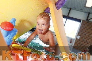 Foto 4232253