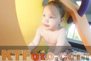 Photo 4232259