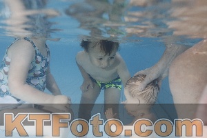 Foto 4232339