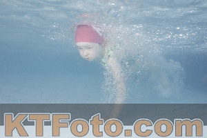 Photo 4232366