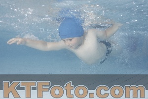Photo 4232374