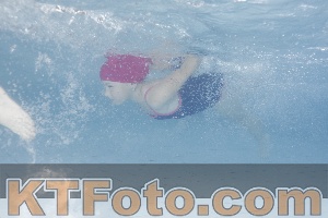 Photo 4232383
