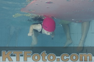 Photo 4232388