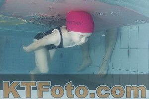 Photo 4232390