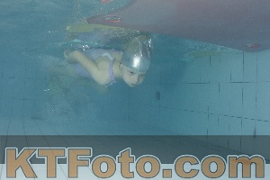 Photo 4232391