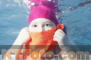 Photo 4232430