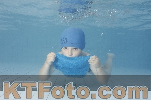 Photo 4232431