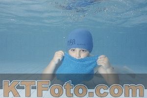 Photo 4232433