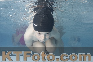 Photo 4232440