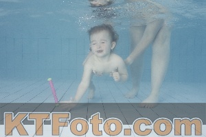 Foto 4232615