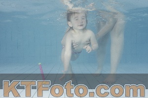 Foto 4232616