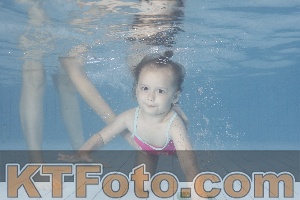 Foto 4232620