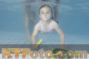 Foto 4232729