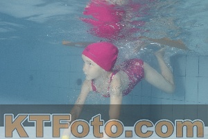 Foto 4232833