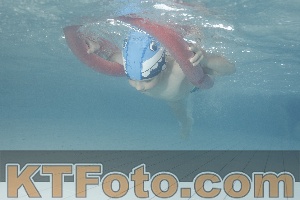Photo 4232880
