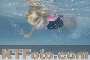 Photo 4232909