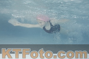 Photo 4232915