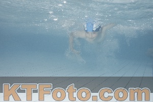 Photo 4232920