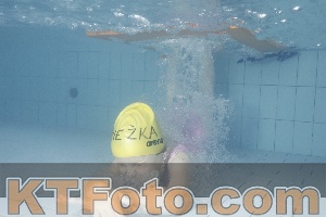 Photo 4232947