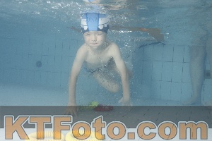Photo 4232959