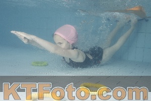 Photo 4232967