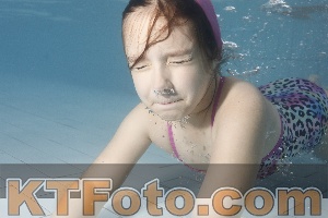 Photo 4232977