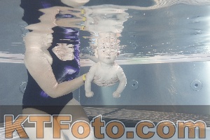 Photo 4260770