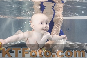 Photo 4260775