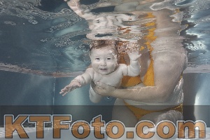 Photo 4260786