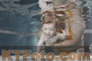 Photo 4260787