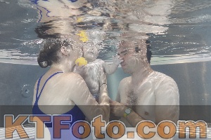 Photo 4260807